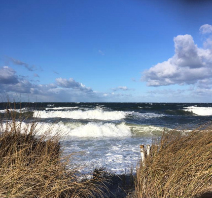 Kalifornien D&uuml;nen und Strand